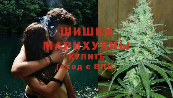 шишки Касимов