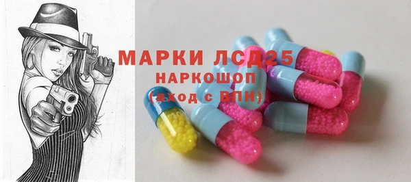 индика Карталы