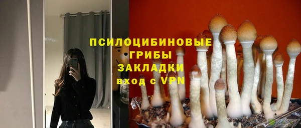 индика Карталы