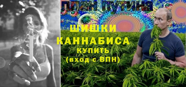 шишки Касимов