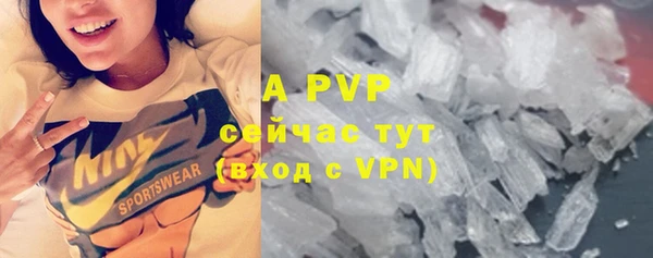 индика Карталы