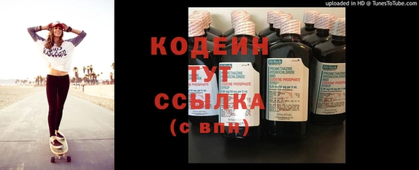 индика Карталы