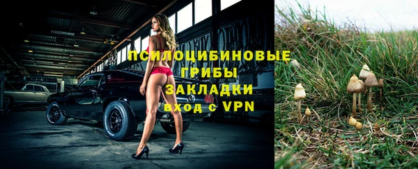 бутират Карпинск