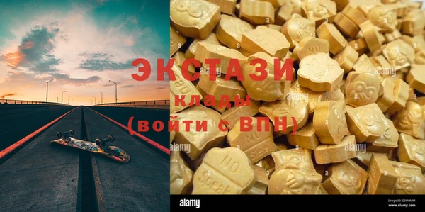 индика Карталы