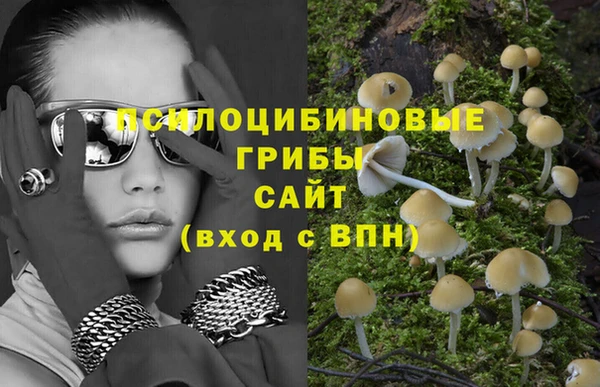 индика Карталы