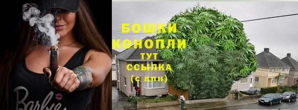 индика Карталы