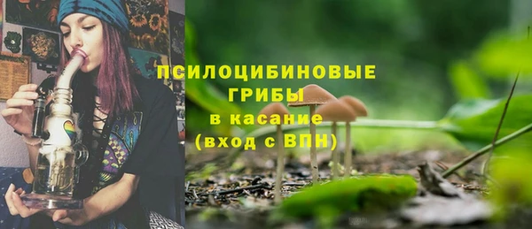 индика Карталы